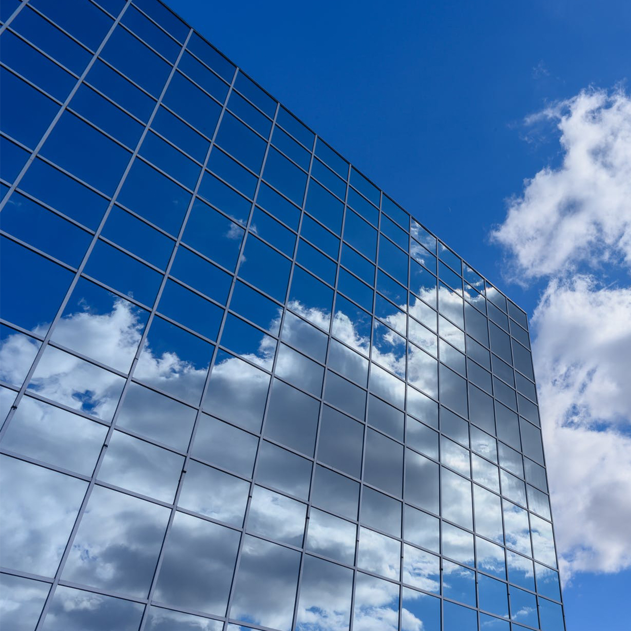 thumb_0004_pexels-photo-2006006